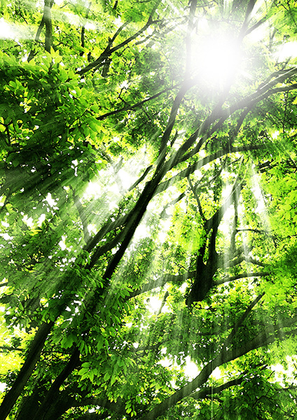 老人ホーム紹介_スタッフブログ